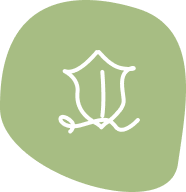 Building Consistency