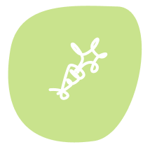 Living The Lifestyle