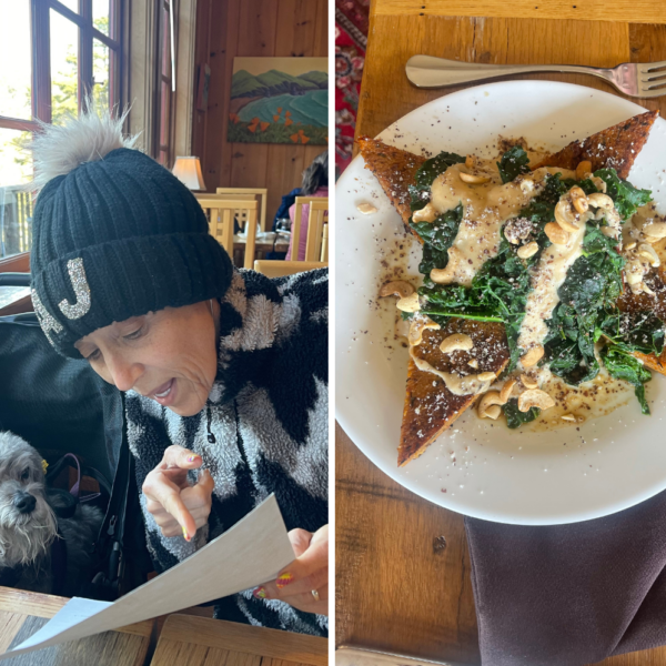 Presenting at Stanford Inn, dealing with pancreatitis and more!