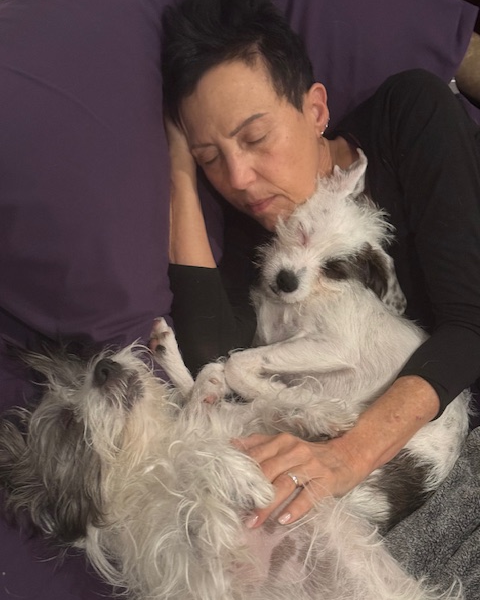 Oops, I Did It Again… (the canine 🐶🦴🐾 edition)